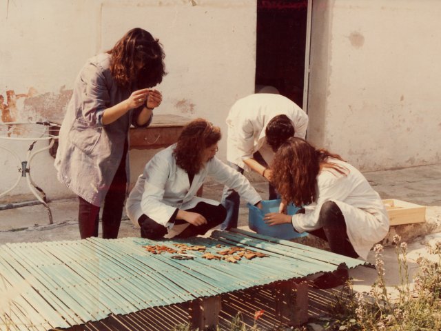 Collaborazione del Corso di restauro con la Soprintendenza archeologica della Puglia - Gli alunni del corso di restauro partecipano ad una campagna di scavo della Soprintendenza archeologica della Puglia a Manduria (zona Terragne). Gli alunni, dislocati al Fonte Pliniano, intervengono nel restauro e catalogazione dei materiali che vengono pScarica il file